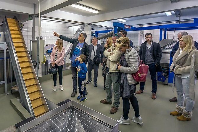 Olive Oil Tour of Solta Island with Lunch - The Value of the Experience