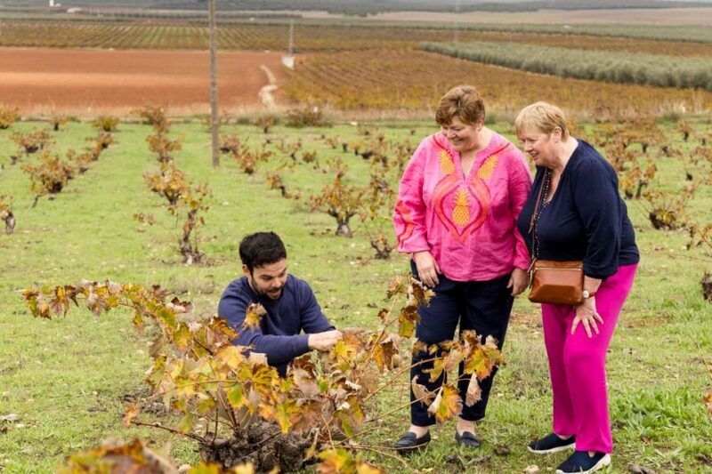 OLIVE OIL & WINE TOUR Organic fields - 5 Wines + 3Olive Oils - FAQ