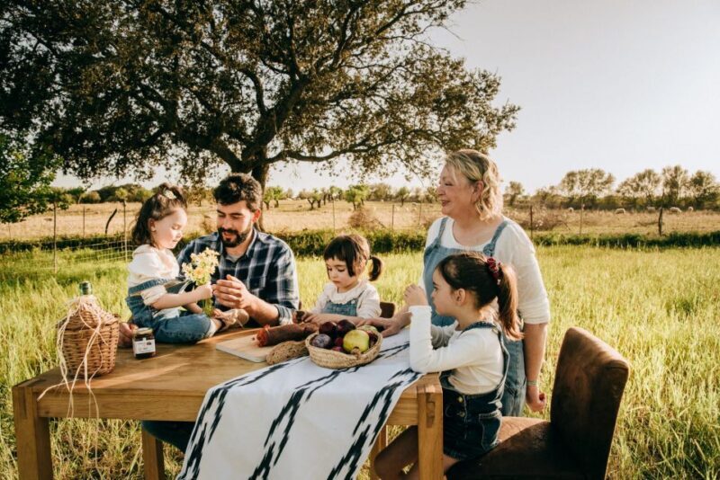 Olive plant and mill visit and tasting - Final thoughts