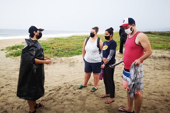 Olive Ridley Turtle Release Experience - Authentic Experiences and Feedback