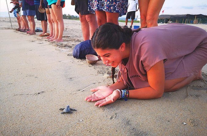 Olive Ridley Turtle Release Experience - FAQ