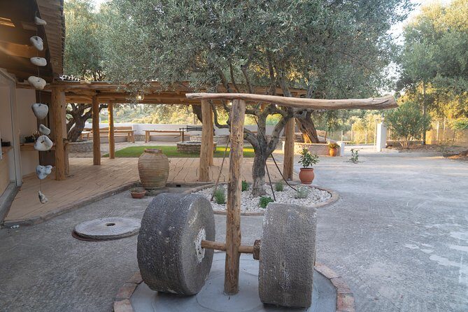 Olive Tour & Tasting - What to Expect from the Olive Tour & Tasting
