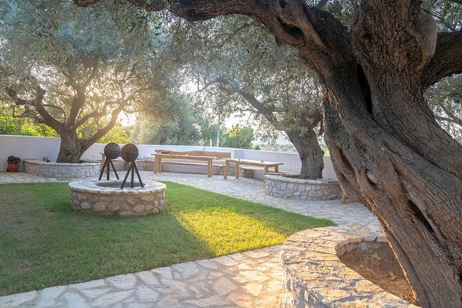 Olive Tour & Tasting - FAQ