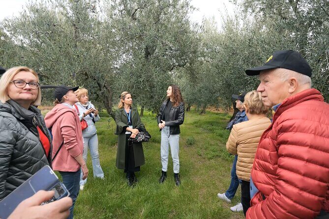 Olive Tree Tour, Visit Vallarella Oil Mill, Oil Tasting - A Closer Look at the Tour Experience