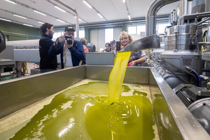 Olive Tree Tour, Visit Vallarella Oil Mill, Oil Tasting - Who Would Love This Tour?