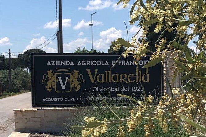 Olive Tree Tour, Visit Vallarella Oil Mill, Oil Tasting - Final Thoughts