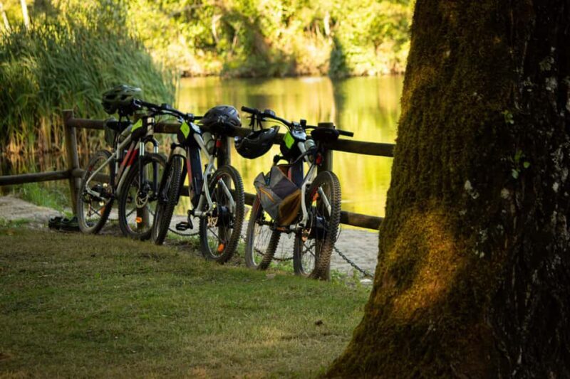 Oliveira de Frades: Ride an electric bike along the Vouga Ecopista - What You Can Expect from the Tour