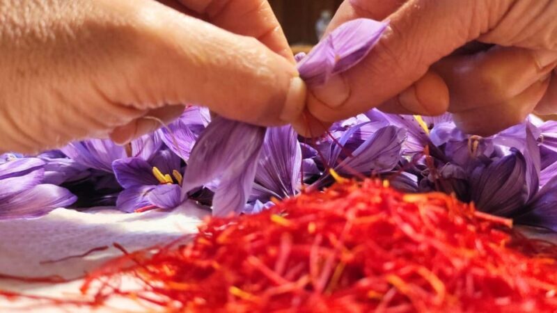 Olmedo: visit to the saffron workshop with tasting - What to Expect from the Saffron Workshop Tour in Olmedo