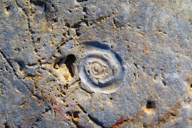 Olous Guided Snorkelling Excursion to Discover Olous Sunken Ancient City - The Bottom Line