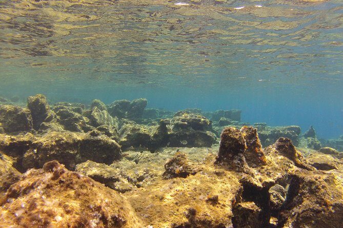 Olous Guided Snorkelling Excursion to Discover Olous Sunken Ancient City - FAQs