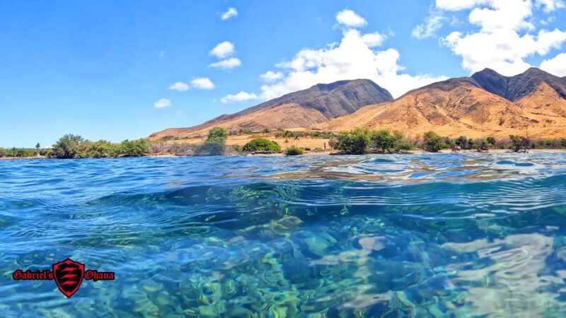 Olowalu: Guided Clear Kayak Tour - Unlimited - Why We Think the Olowalu Guided Clear Kayak Tour Could Be a Hit for You