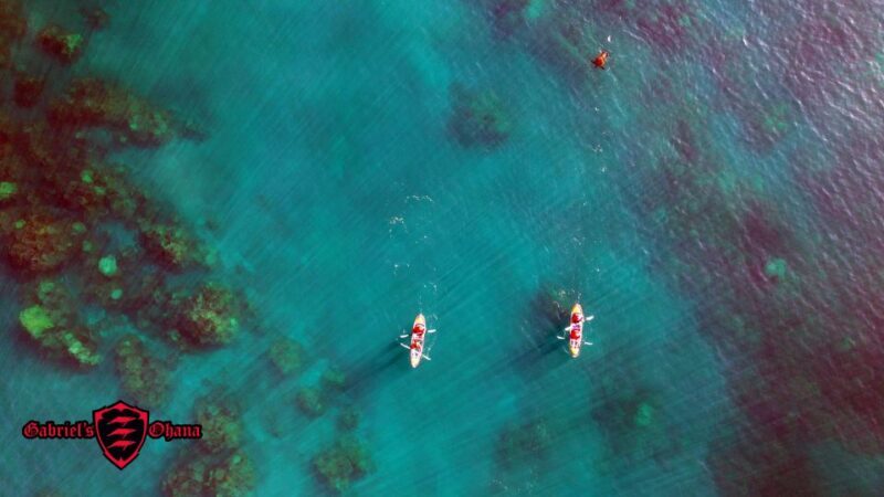 Olowalu: Guided Clear Kayak Tour - Unlimited - The Practical Aspects: Price, Duration, and Group Size