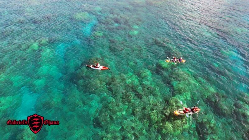 Olowalu: Guided Clear Kayak Tour - Unlimited - The Value of the Experience in Context