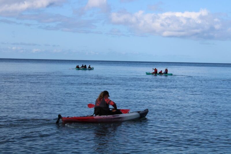 Olowalu: Guided Kayak and Snorkeling Tour - Unlimited - What to Expect from the Tour