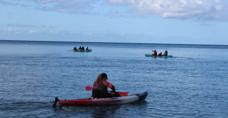 Olowalu: Guided Kayak and Snorkeling Tour - Unlimited - Value and Price Analysis