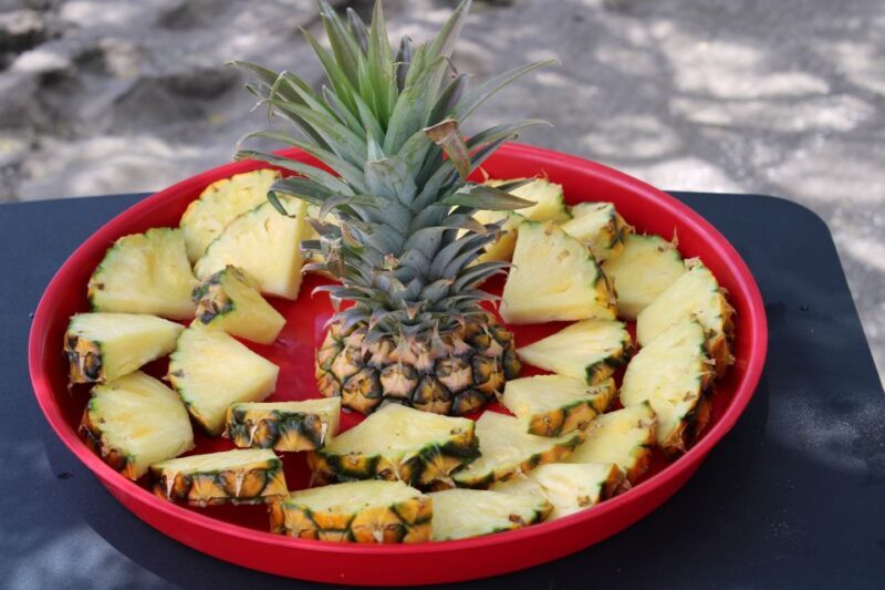 Olowalu: Guided Kayak and Snorkeling Tour - Unlimited - The Sum Up