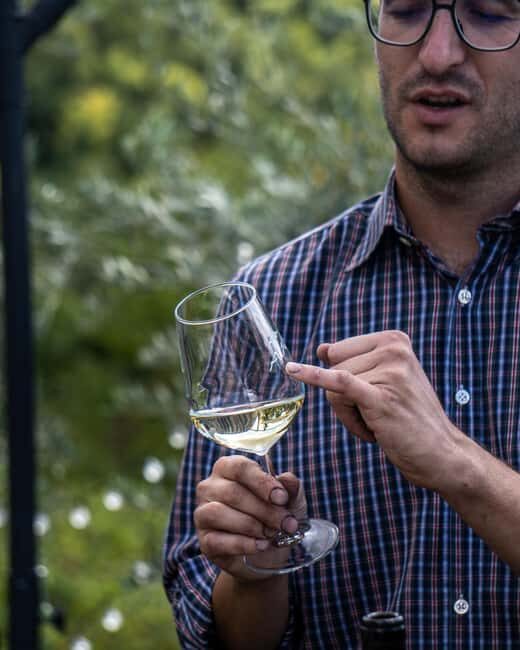 Oltrepò Pavese: a stone's throw from Milan, wine tasting surrounded by nature - What is the Oltrepò Pavese tour all about?