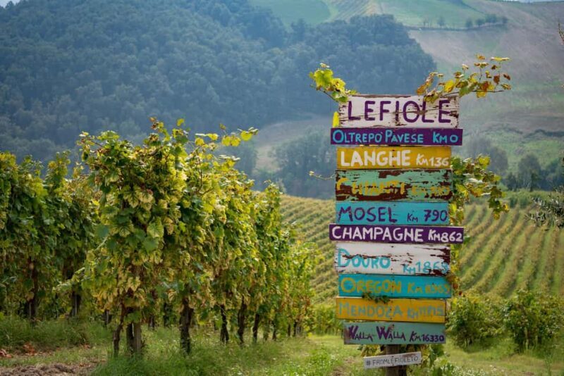 Oltrepò Pavese: walk through the vineyards and wine tasting 1 hour from Milan - Key Points