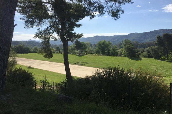 Olympia Highlights & Winery Experience: 4-Hour Tour - Visiting the Olympia Land Estate Winery