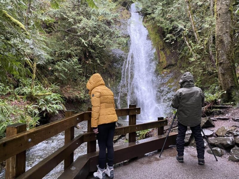 Olympic National Park: Half-Day Tour - The Experience from Travelers’ Perspectives