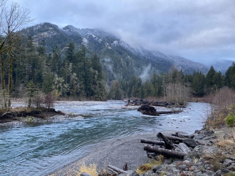 Olympic National Park: Half-Day Tour - Practical Considerations