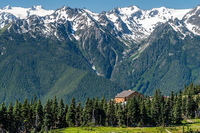 Olympic National Park Self-Guided Driving Audio Tour - What Do Travelers Think?