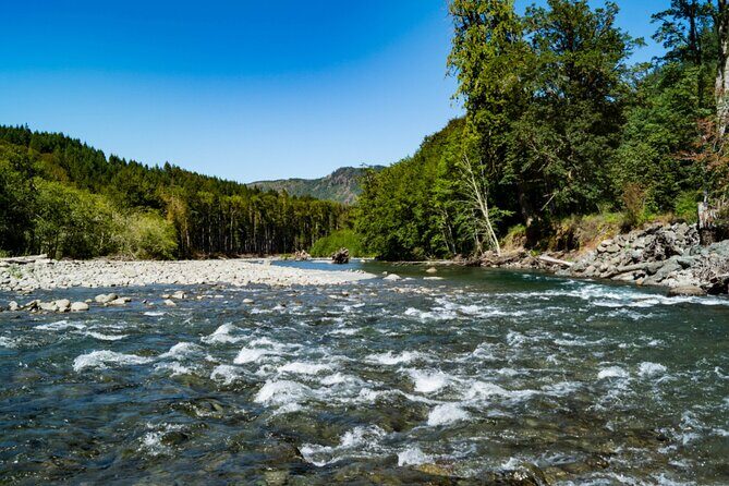 Olympic National Park Self-Guided Driving Audio Tour - Final Verdict