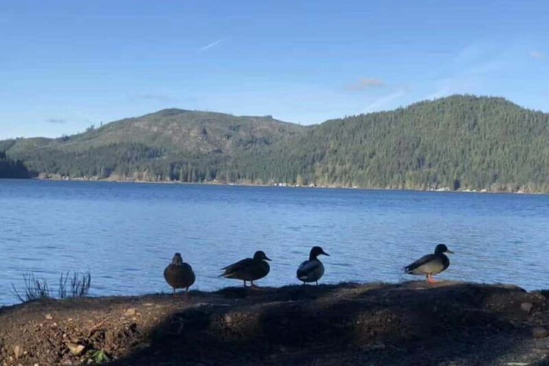 Olympic National Park Small Group Day Tour w/ State Ferries - Discovering Olympic National Park: What Makes It Special