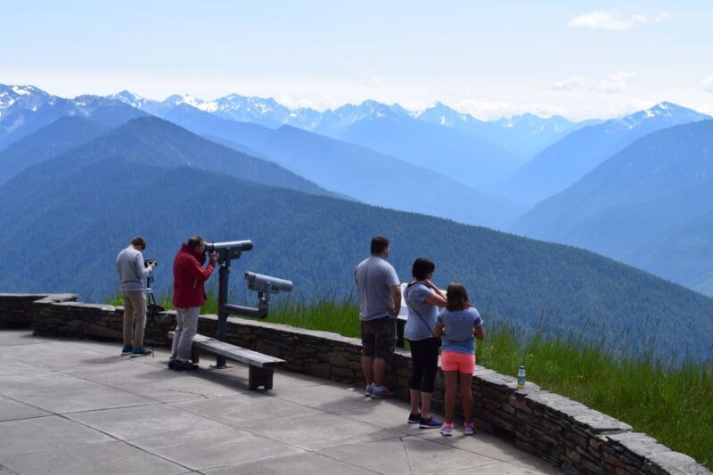Olympic National Park: Sol Duc and Hurricane Ridge Tour - The Highlight: Hurricane Ridge