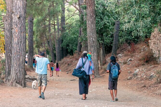 Olympos, Cirali, Chimera Night Tour with Dinner at Ulupinar - Final Thoughts