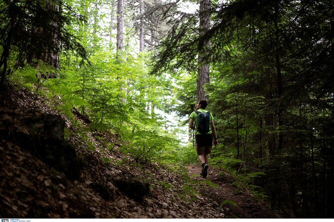 Olympus the mountain of the 12 gods of Greek mythology Smallgroup - Discovering Mount Olympus: An In-Depth Review