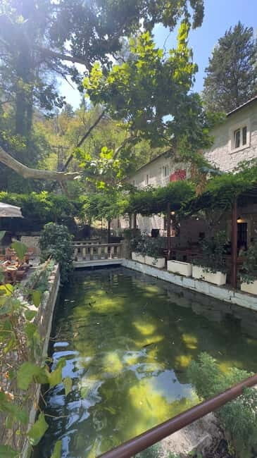 Omi: 2-Hour Cetina River Boat Tour and Nature Park Visit - Authentic Guest Perspectives