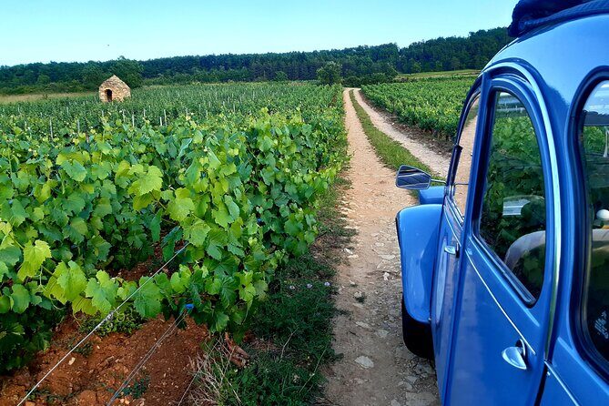 On the Road Again - The Overview: Wine, Scenery, and Vintage Charm in Burgundy