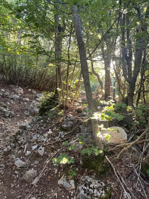 On the roof of the Madonie: Day trip to the summit of Pizzo Carbonara - Final Thoughts