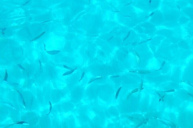 One and a half hour boat excursion to Scala Dei Turchi - The Sum Up