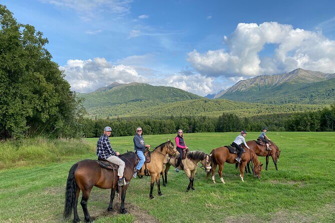 One and Half Hour Trail Ride at The Base of Chugach Mountains - Key Points
