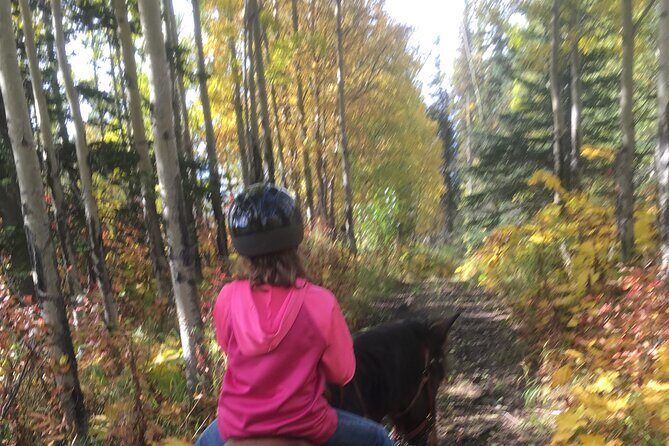 One and Half Hour Trail Ride at The Base of Chugach Mountains - The Sum Up: Is This Trail Ride Right for You?