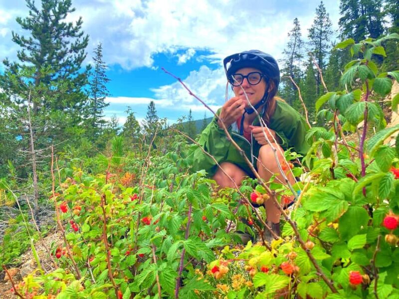 One Day E-Bike Tour In The Colorado Rockies - The Bikes and Equipment