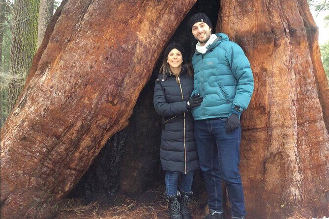 One Day In Yosemite Private Tour:Yosemite Valley, Glacier Point & Giant Sequoias - Final Thoughts