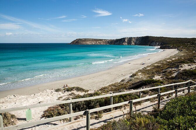 One Day Kangaroo Island Sip & See tour with return ferry transfers from Adelaide - Key Points