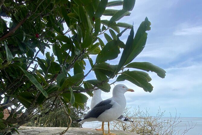 One Day Mont-Saint-Michel and Landing Beaches Tour - Who Should Consider This Tour?