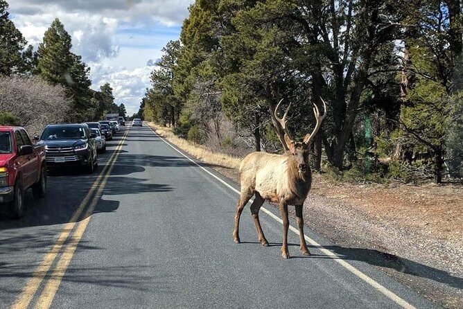 One-Day Private Grand Canyon National Park/Sedona tour from Phoenix-Scottsdale - Final Thoughts
