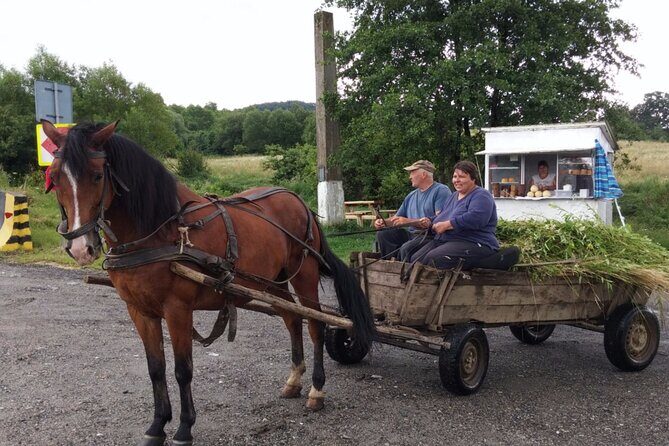 One Day Private Tour to Peles and Dracula Castles & Brasov City - FAQs