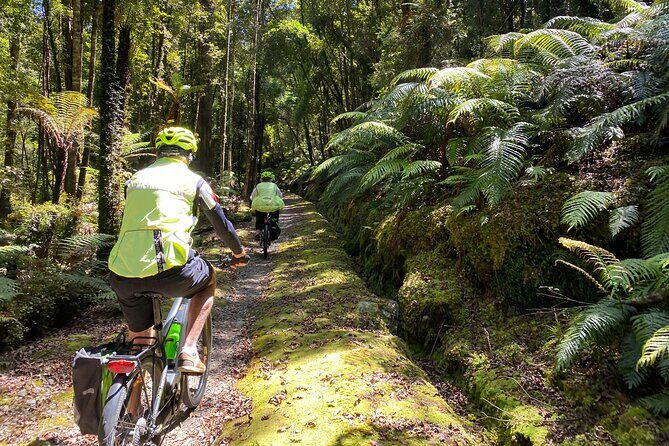 One Day Tour from Hokitika on Wilderness Trail by eBike - Introducing the Wilderness Trail eBike Tour from Hokitika