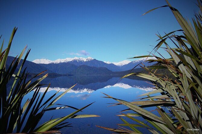 One Day Tour from Hokitika on Wilderness Trail by eBike - What to Expect on the Day