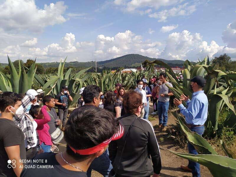 One day tour from Mexico City to Firefly Sanctuary - One Day Tour from Mexico City to Firefly Sanctuary: An Honest Look