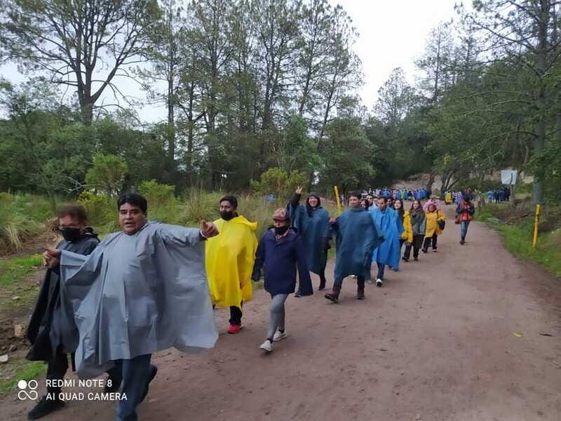 One day tour from Mexico City to Firefly Sanctuary - Who Should Consider This Tour?