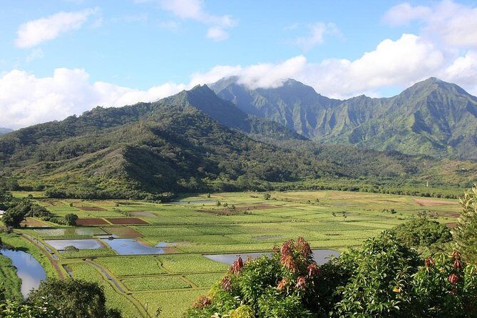 One-Day Tour Hawaii Movie Tour: Island Hopping from Oahu to Kauai - The Itinerary — What to Expect