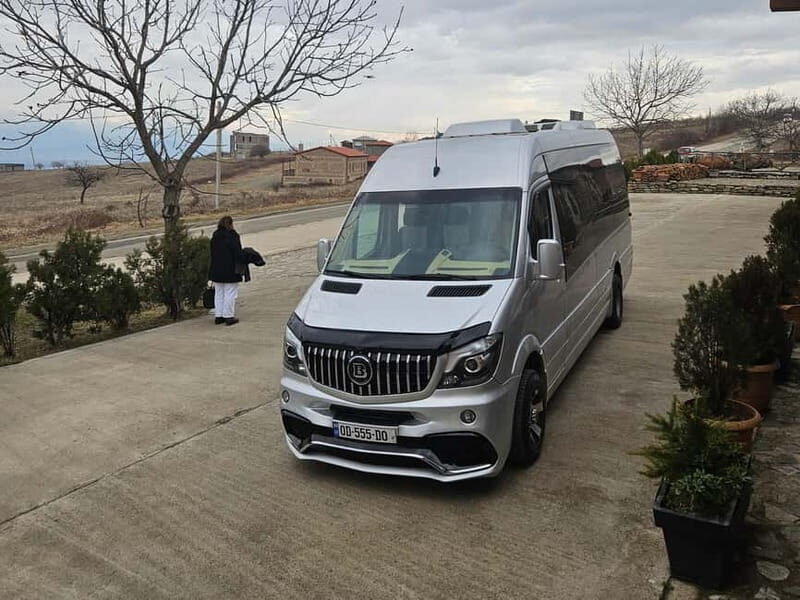 One-day tour in Kakheti with a guide and free wine tasting - Key Points