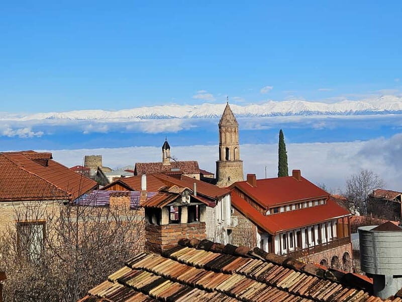 One-day tour in Kakheti with a guide and free wine tasting - What Makes This Tour Stand Out